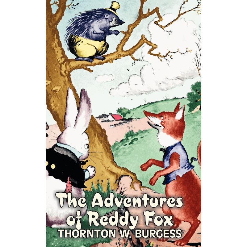 预订，预计下单后2-3周左右发货！