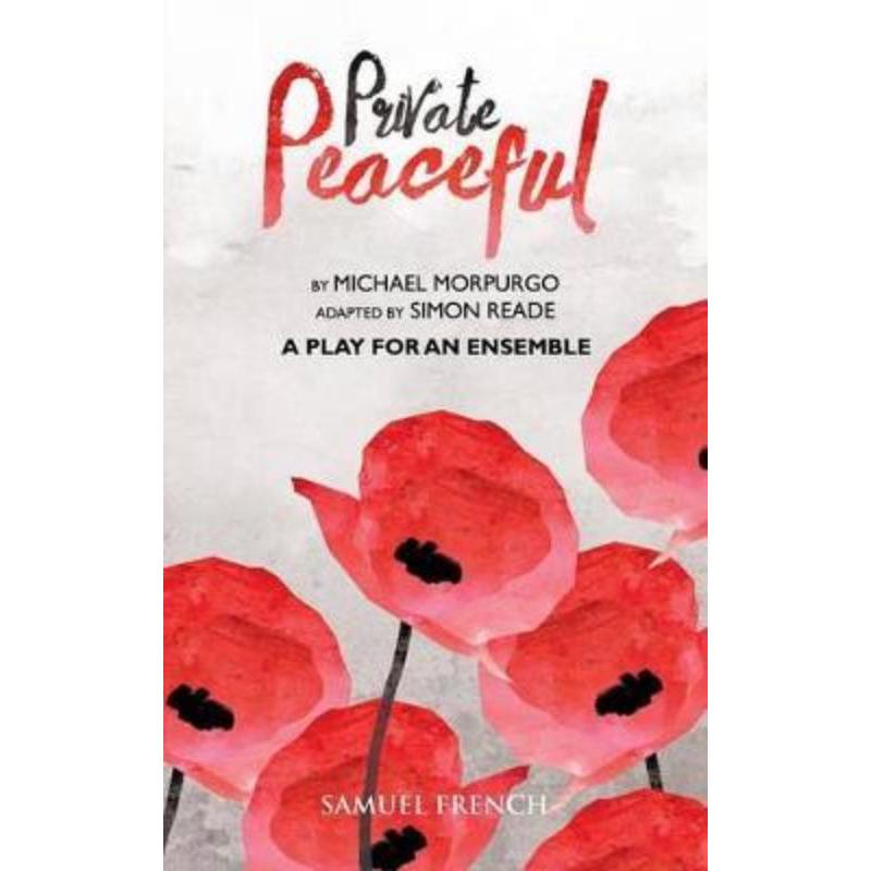 预订，预计下单后3-6周左右发货！