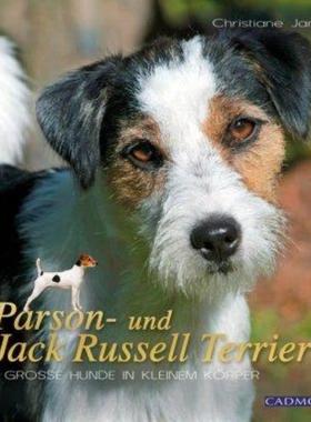 预订【德语】 Parson- und Jack Russel Terrier:Große Hunde im kleinen Körper