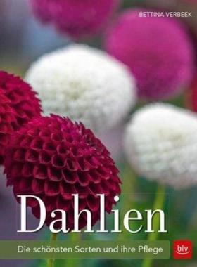 预订【德语】 Dahlien:Die schönsten Sorten und ihre Pflege