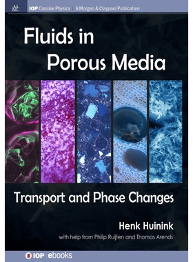 按需印刷Fluids in Porous Media[9781681742960]