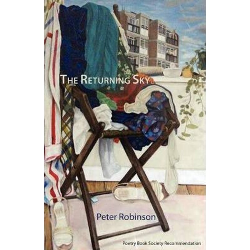 按需印刷不退不换The Returning Sky[9781848611863]