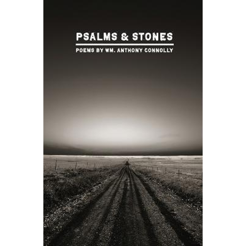 预订,预计下单后2-3周左右发货!