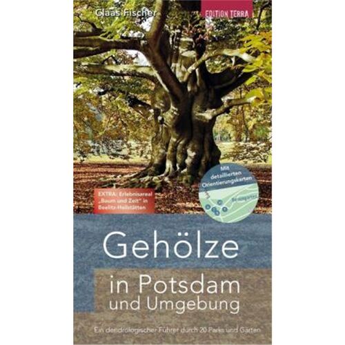 预订，预计下单后3-6周左右发货！