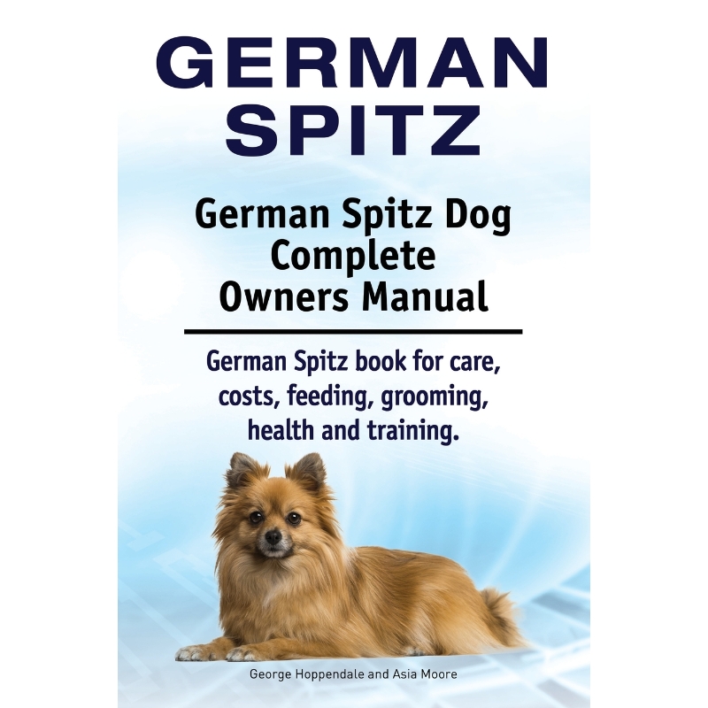 预订，预计下单后2-3周左右发货！