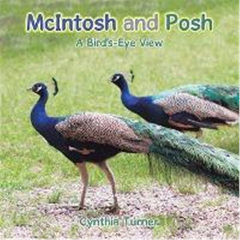 按需印刷不退不换McIntosh and Posh[9781524580841]