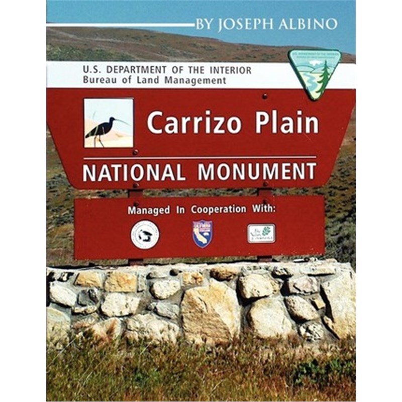 预订，预计下单后3-4周左右发货！