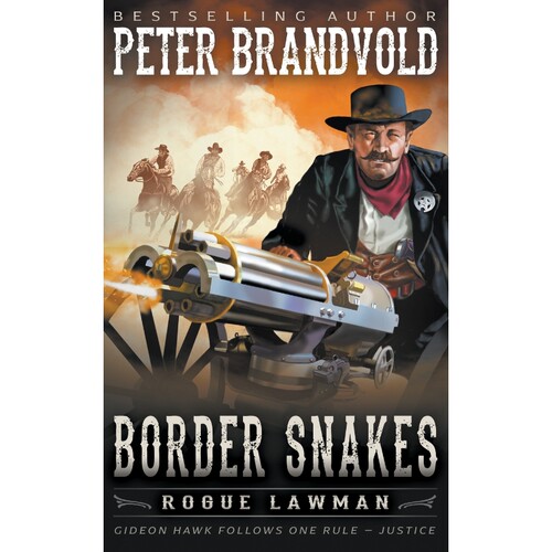 预订，预计下单后2-3周左右发货！