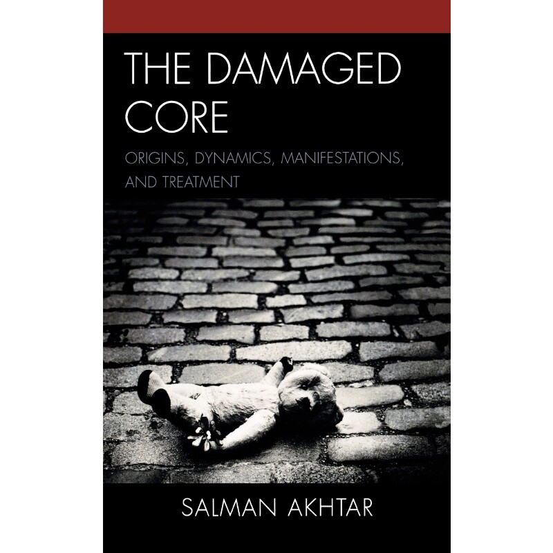 按需印刷不退不换The Damaged Core[9780765706706]