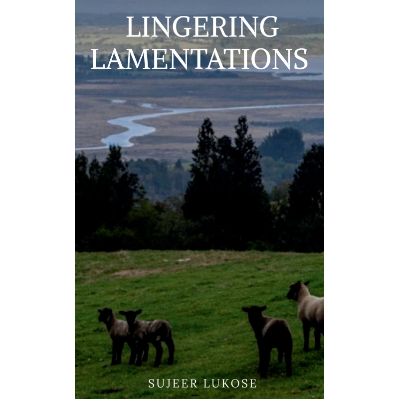 预订，预计下单后2-3周左右发货！