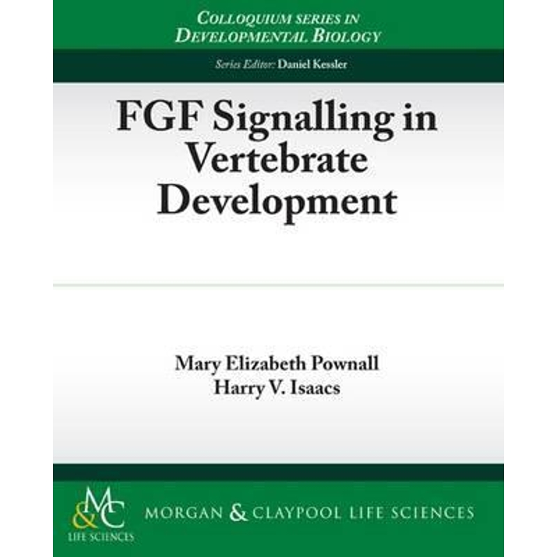 预订，预计下单后2-3周左右发货！