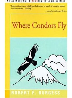 按需印刷Where Condors Fly[9780595003471]