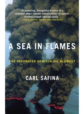 预订A Sea in Flames:The Deepwater Horizon Oil Blowout