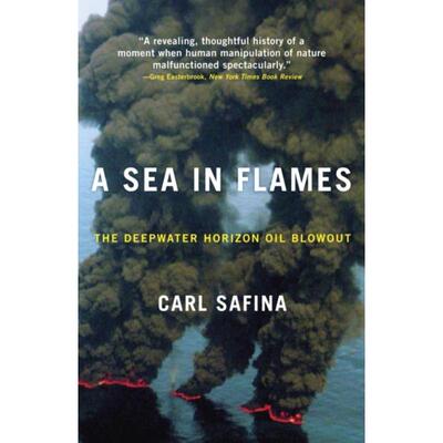 预订A Sea in Flames:The Deepwater Horizon Oil Blowout