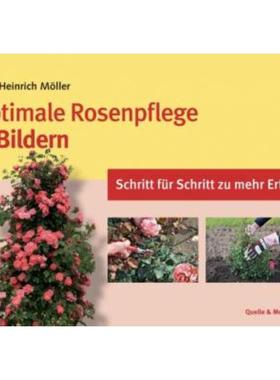 预订【德语】 Optimale Rosenpflege in Bildern:Schritt für Schritt zu mehr Erfolg