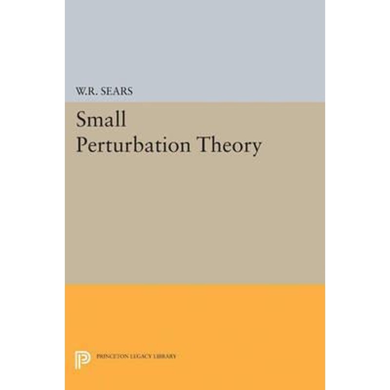 按需印刷不退不换Small Perturbation Theory[9780691626024]