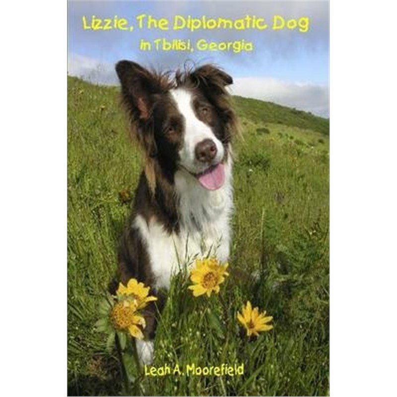 预订，预计下单后3-4周左右发货！