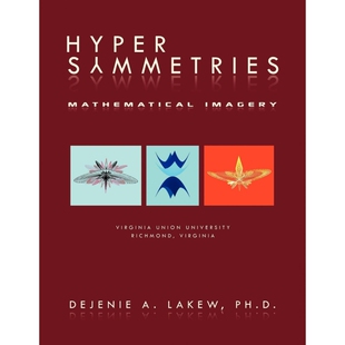 按需印刷不退不换Hyper Symmetries[9781449049522]