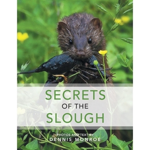 9781524602239 按需印刷Secrets Slough the