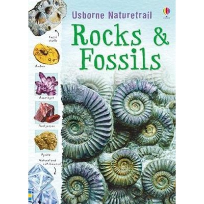 预订不退不换Rocks and Fossils
