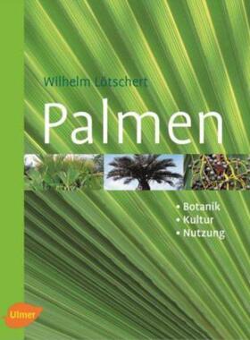 预订【德语】 Palmen:Botanik, Kultur, Nutzung