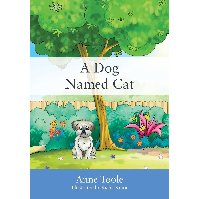 预订，预计下单后2-3周左右发货！