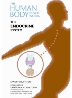 预订不退不换The Endocrine System