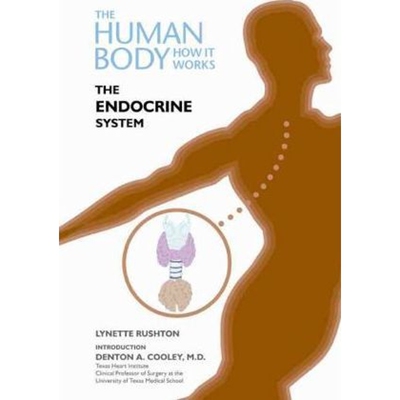 预订The Endocrine System