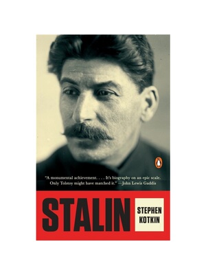 现货STALIN V1 PARADOXES OF POW#P#