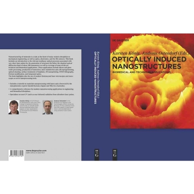 按需印刷DGYT Optically Induced Nanostructures[9783110337181]