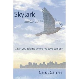按需印刷不退不换Skylark 9781105515651