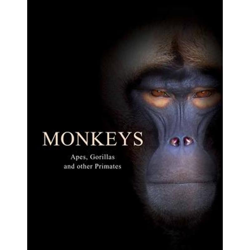 预订Monkeys:Apes, Gorillas and other Primates 书籍/杂志/报纸 经济管理类原版书 原图主图