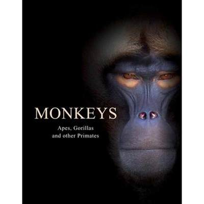 预订Monkeys:Apes, Gorillas and other Primates