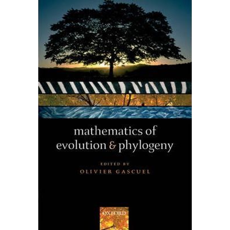 预订，预计下单后2-3周左右发货！