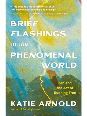 预售【2024新书】BRIEF FLASHINGS IN THE PHENOMENAL WORLD