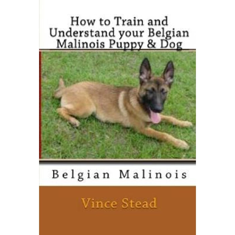 按需印刷不退不换 How to Train and Understand Your Belgian Malino