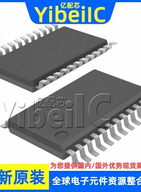全新原装 PCM1789TPWRQ1 TSSOP-24 TPW TPWQ1 模数转换器 芯片