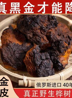 带黑金正宗俄罗斯桦树茸野生40年原装进口桦褐孔菌白桦茸桦树泪