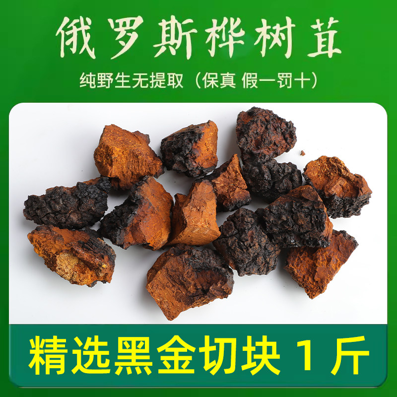 桦树茸俄罗斯进口野生天然黑金白桦茸桦褐孔菌非长白山切块