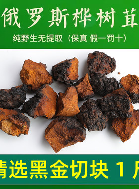 桦树茸俄罗斯进口野生天然黑金白桦茸桦褐孔菌非长白山切块