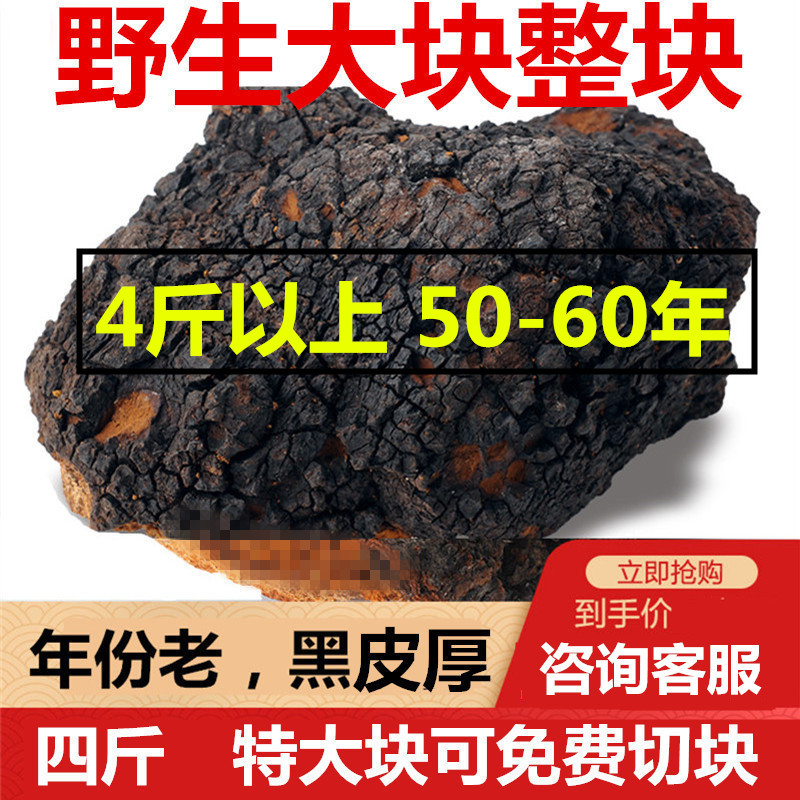 华树荣白桦茸茶华树茸桦树茸整块桦褐孔菌华树绒白桦树茸华树蓉龙