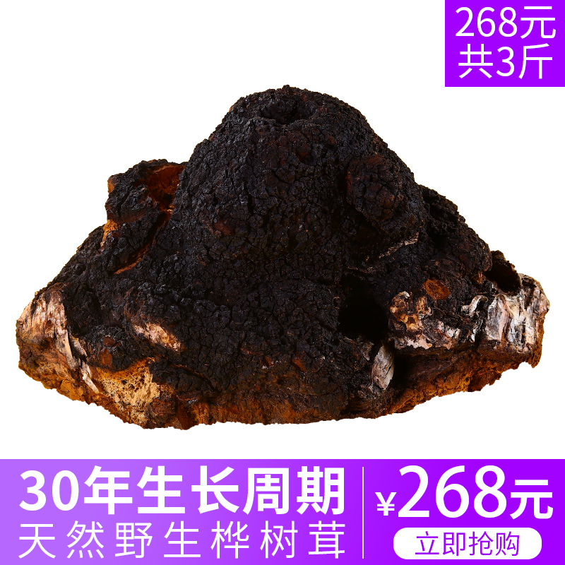 野生桦树茸进口天然稳糖三斤