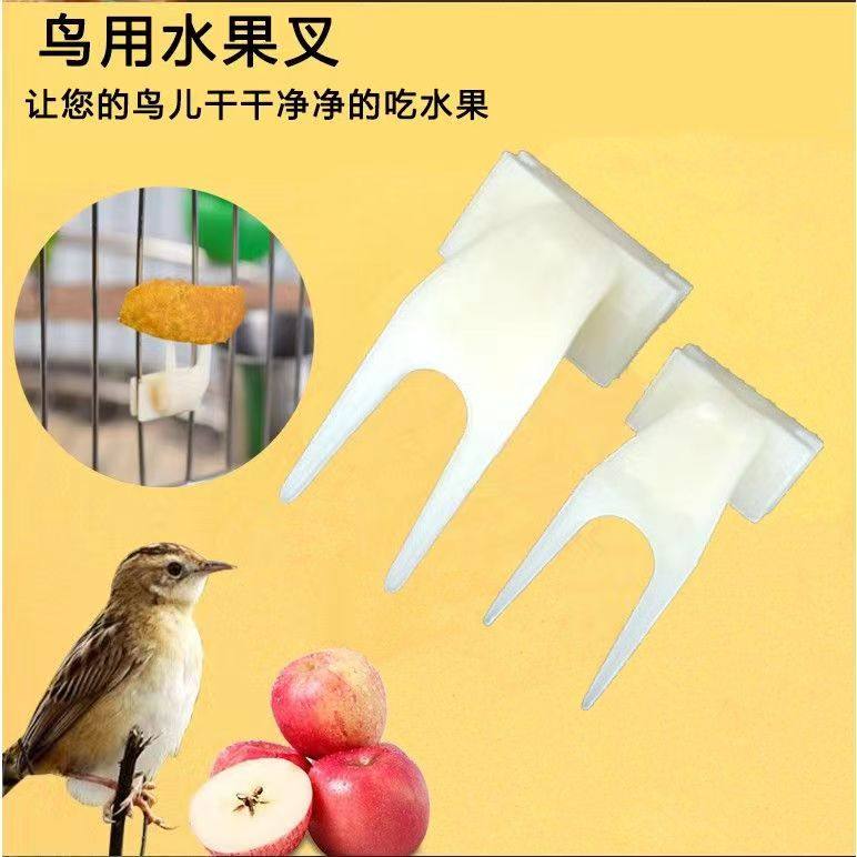 鸟用水果叉塑料鸟笼配件鹦鹉八哥鹩哥食物叉鸟吃水果用品用具,宠物/宠物食品及用品,鸟禽喂食器/喂水器,淘宝优惠券,粉丝福利购,淘宝优惠卷