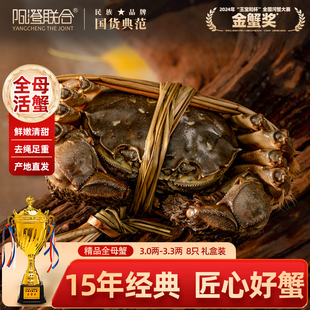 精品活蟹阳澄联合鲜活大闸蟹现货精品公母蟹螃蟹海鲜礼盒源头直发