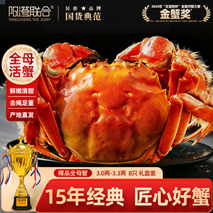 精品活蟹阳澄联合鲜活大闸蟹现货全母蟹12只螃蟹海鲜礼盒源头直发