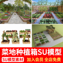 乡村菜地菜园SU模型农家乐农场农田蔬菜种植池SketchUp草图大师