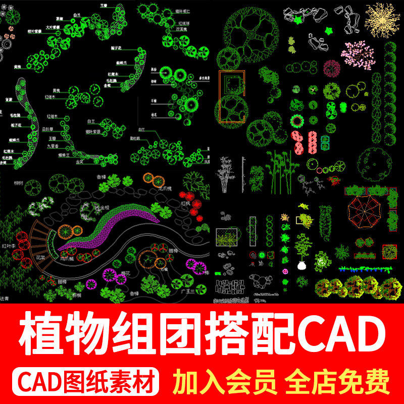 园林植物组团搭配cad图景观花境设计花草灌木种植绿化配置平面图