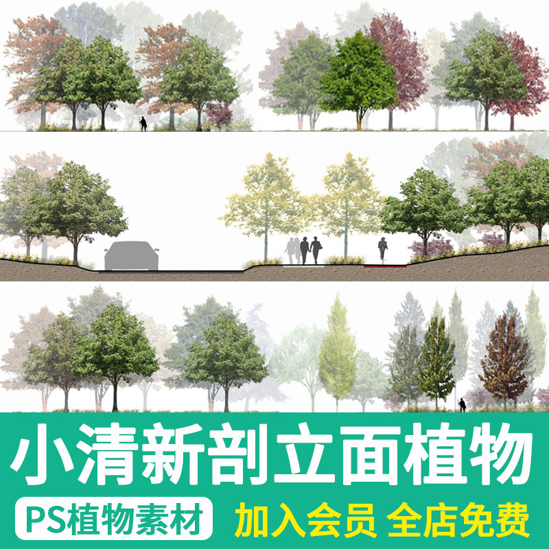 景观小清新树木psd植物ps立面剖面分析效果图海绵城市规划素材库
