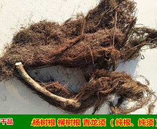 新鲜晒干柳树根须垂柳树根须红皮柳树根须中药材柳树根杨柳根包邮