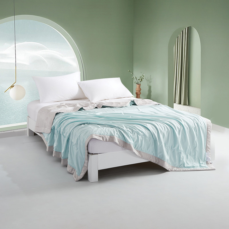 可水洗暖气被空调被夏被薄夏凉被子芯100%蚕丝被夏季超柔软